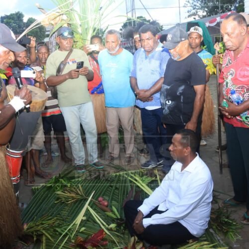 Gubernur Papua Selatan Papua Selatan, Apolo Safanpo