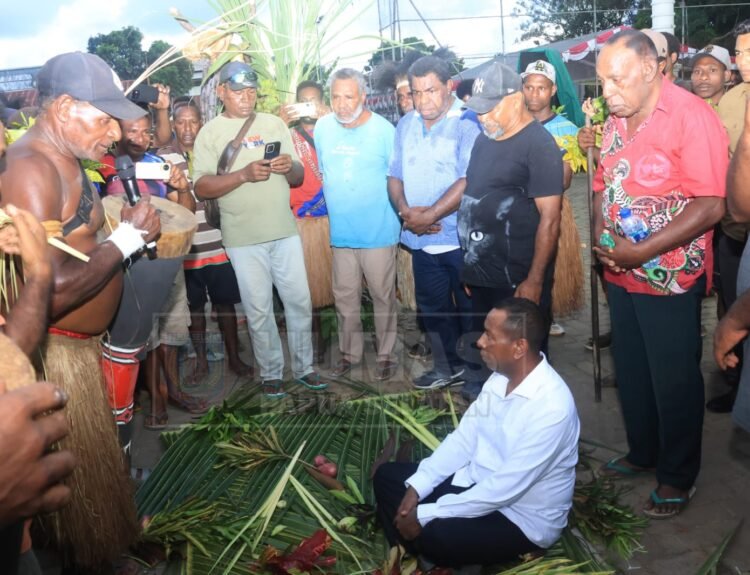 Gubernur Papua Selatan Papua Selatan, Apolo Safanpo