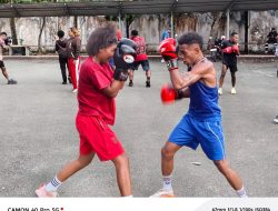 Genjot Fisik dan Sparring, Pertina Kota Jayapura Bidik Juara Pace Boxing Cup