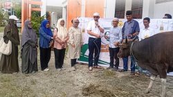 Pemprov Papua dan Pemkot Jayapura Serahkan Dua Ekor Sapi Kurban kepada USTJ