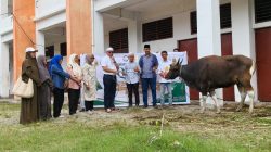 Pemprov Papua dan Pemkot Jayapura Serahkan Dua Ekor Sapi Kurban kepada USTJ