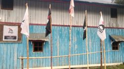 Dukungan Masyarakat Menguat, Papan Nama dan Bendera PSI Berdiri di Puncak Jaya